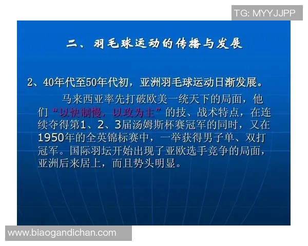 北京羽毛球队杯赛精彩表现分析与力量展现的深度解读