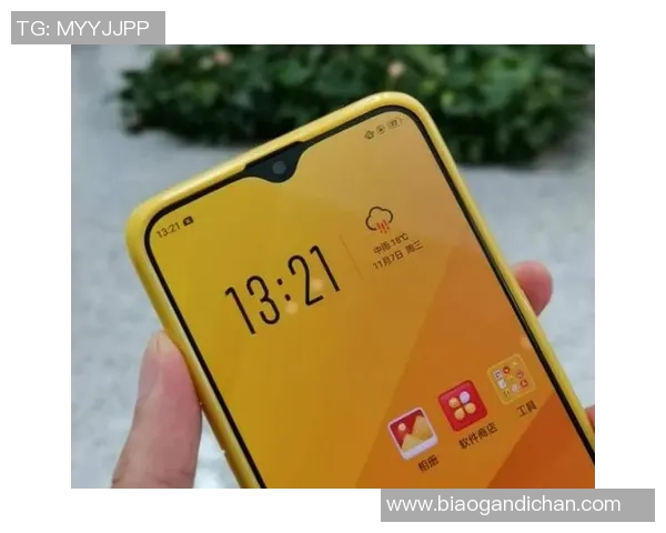 皮卡丘足球明星带你领略电力四射的绿茵场激情与梦想