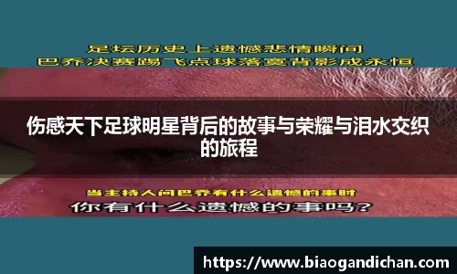 MILE米乐官方网站